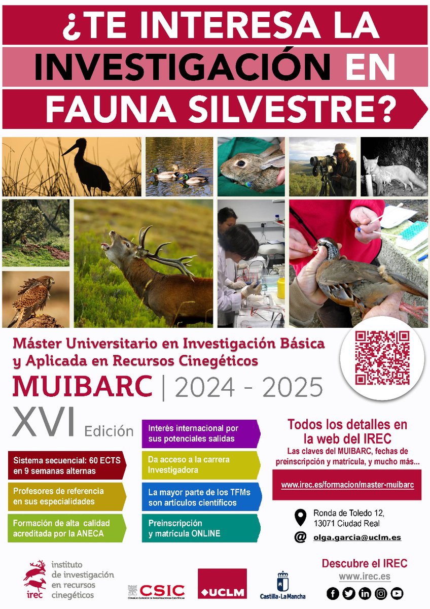¿Te interesa la #investigación en #fauna silvestre y quieres cursar estudios de postgrado? ⁉️ El #Máster Universitario en Investigación Básica y Aplicada (#MUIBARC) es lo que estás buscando ✅ ¡YA ABIERTO EL PLAZO DE PREINSCRIPCIONES PARA 2024/2025! 👉 irec.es/formacion/mast…