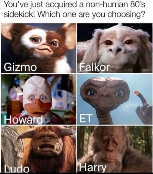 Bet your ass I'm flying around on my dragon dog. Falkor! https://t.co/yR67x8zFXc