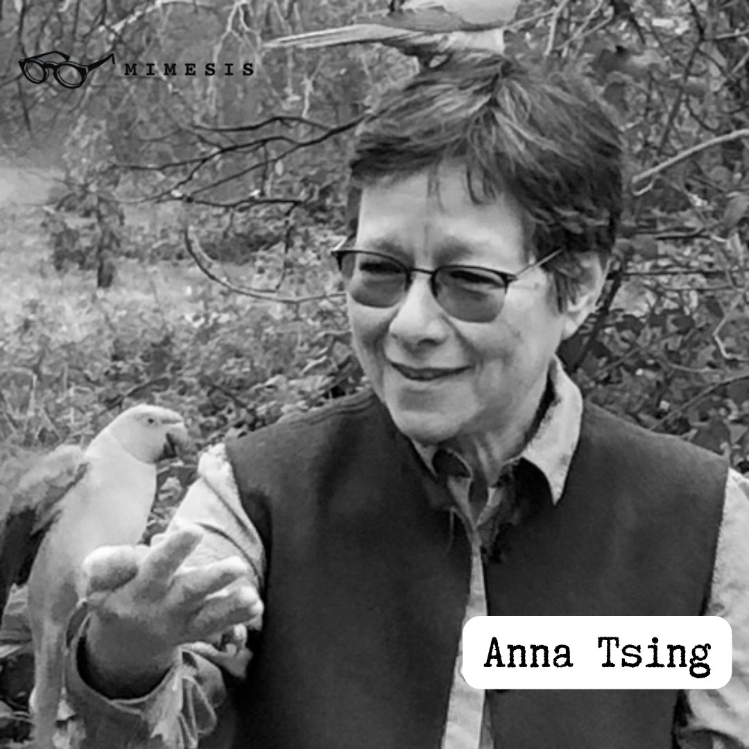 🕶️Perfil Mimesis con Anna Tsing
👩🏻‍🏫Antropóloga y profesora en el Departamento de Antropología de la Universidad de California en Santa Cruz. 
👓Ediciones mimesis ha publicado un conjunto de ensayos bajo el título Ensamblajes multiespecies en el Antropoceno (2023).