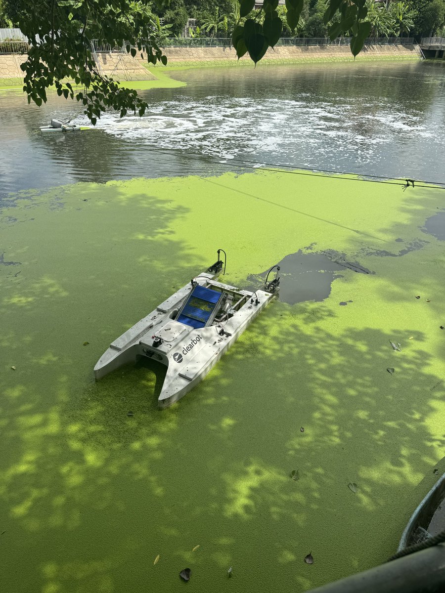 javachipd's tweet photo. we’re in bkk running pilots for cleaning inland waters (lakes, canals)

did you know, these little plants on the water surface not only spoil the water, but also multiply quickly if they reach other lakes/canals. that is one of the reasons why they need to be cleaned often.

@clearrobotics #sustainable #cleaning