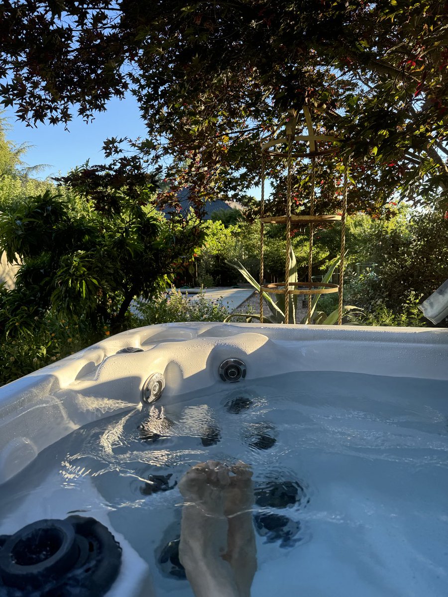 Happy California morning everyone ☀️