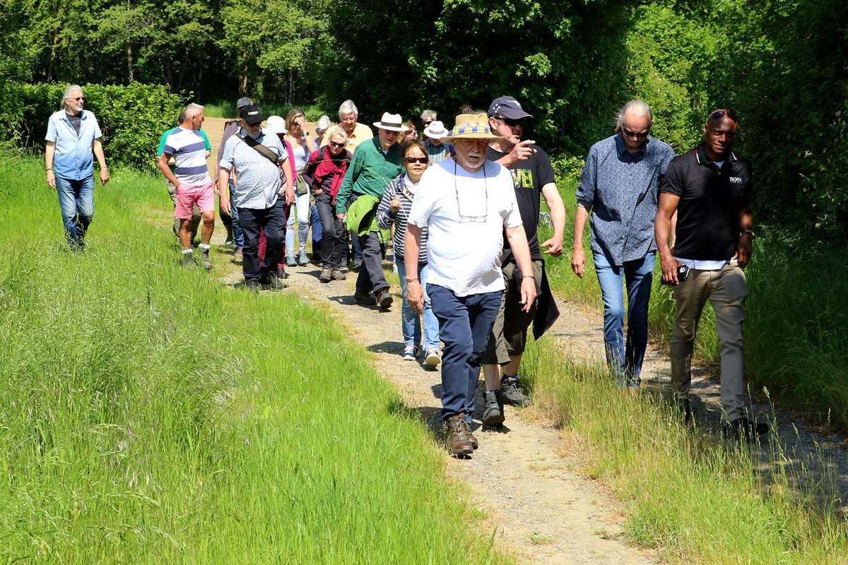 sweffling pub tweet media