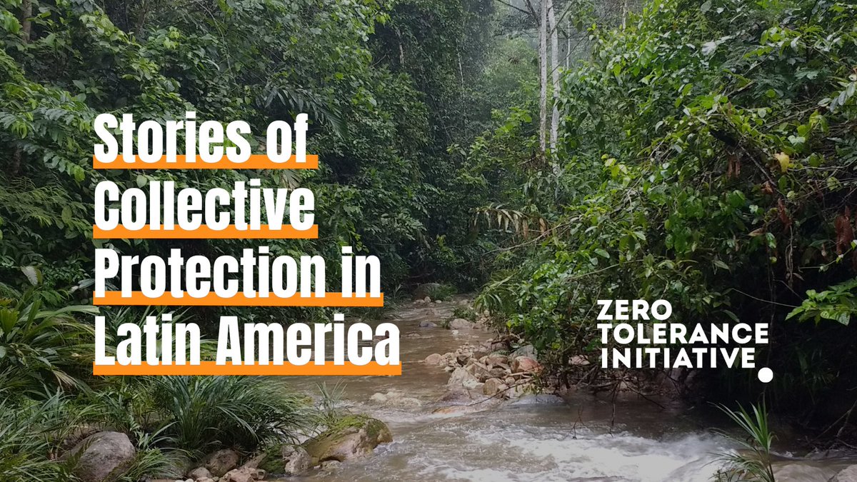 zerotolerancei1's tweet photo. 📖In 'Stories of Collective Protection in Latin America', learn about:

🛡️ the theoretical, conceptual, and legal framework regarding the collective protection of #HumanRights

🗣️ perspectives and reflections of human rights defenders from #LatinAmerica

➡️https://t.co/svrvbFdzHI https://t.co/v1cXpVZBqW