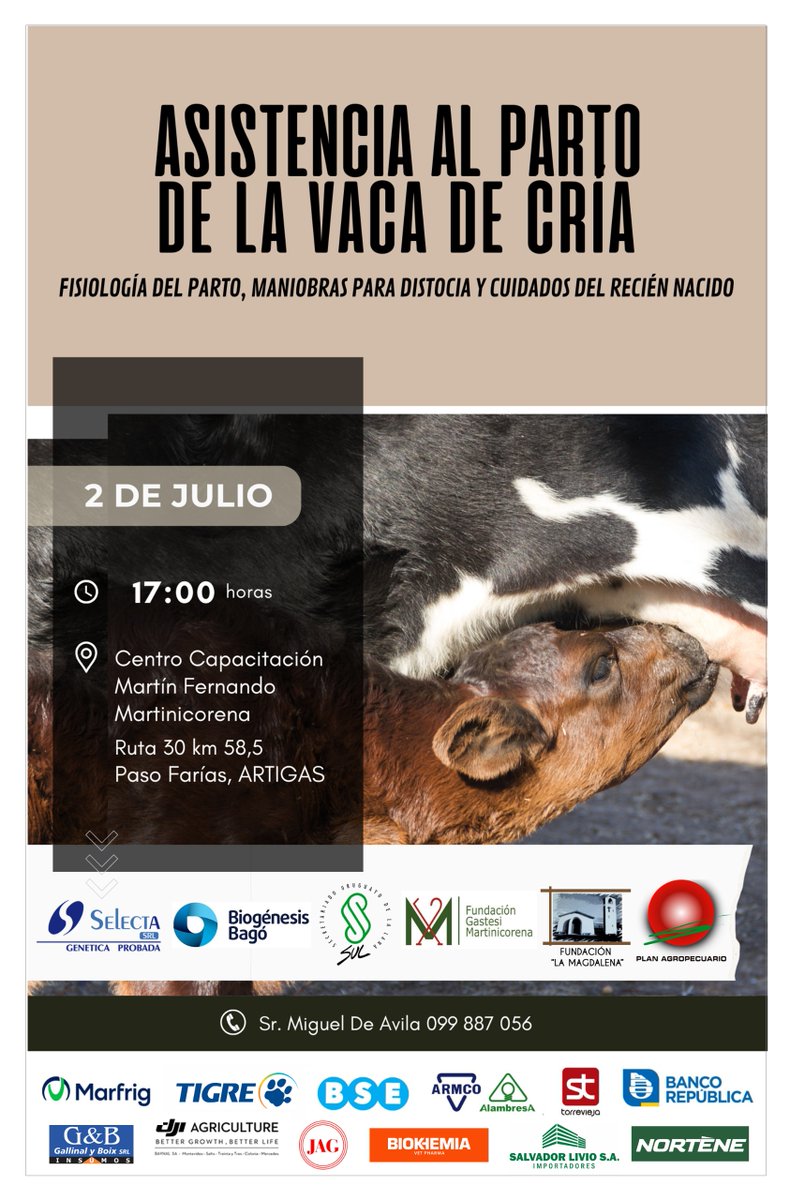 ¡Próximo martes!
🗓️2/7⏰17hs📍Paso Farías, Artigas

Jornada "Asistencia al parto de la vaca de cría"
✔️Fisiología del parto
✔️Maniobras para distocia
✔️Cuidados del recién nacido
📌CCMFM

¡Te esperamos!
@Selecta_srl <a href="/biogenesisbago/">Biogénesis Bagó</a> <a href="/SUL_uy/">SUL</a> #FGMartinicorena #FLMagdalena #PlanAgro