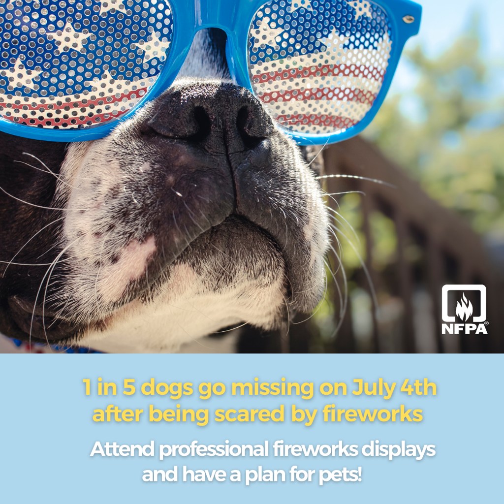 Sparky_Fire_Dog's tweet photo. Fireworks not only cause thousands of injuries each year, but they are also terrifying for pets. Attend a professional fireworks display and have a plan for pets! For more firework pet safety, check out these tips from @ASPCA: https://t.co/VEUyKmxEZU #safe4thofjuly #safe4thofjuly https://t.co/9CqzamSa5b