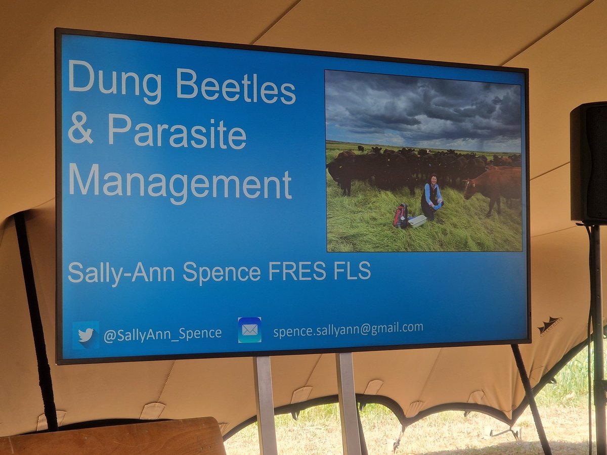 Mark Edwards🇺🇦🇪🇺🇬🇧 tweet media