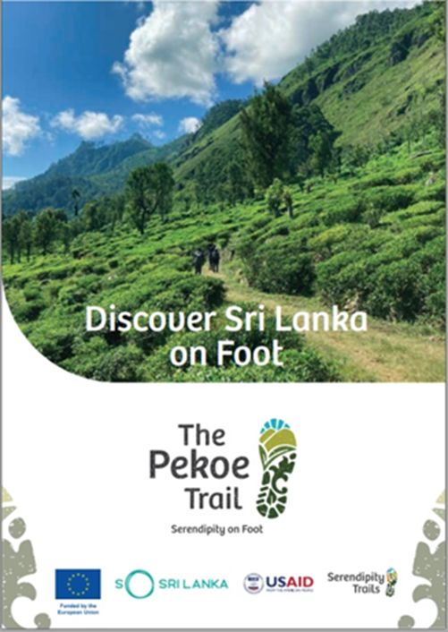 IESC1964's tweet photo. IESC helps #MSMEs innovate and grow. On #MSMEday, we’re highlighting our impact in #SriLanka through the EU and @USAIDSriLanka-funded Tourism Resilience Project. IESC helped create a more sustainable and adaptable ecosystem for 350+ tourism SMEs through grants and trainings. https://t.co/57A2ffqaU5