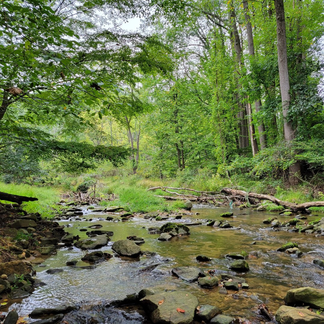 StroudCenter's tweet photo. 2-Day Aug Workshop 📢Tinkerers, Enviros, Students & Adults #EnviroDIY digital & electronic 🧰🛠️Customize data collection-Stroud Center, Avondale, PA 🏎️Entrance ramp #DIY Space limited👀https://t.co/KQ2ecCb0GJ #Freshwater #EnvironmentalStewards #Tinker #StreamHealth https://t.co/VEZzkfWGRP
