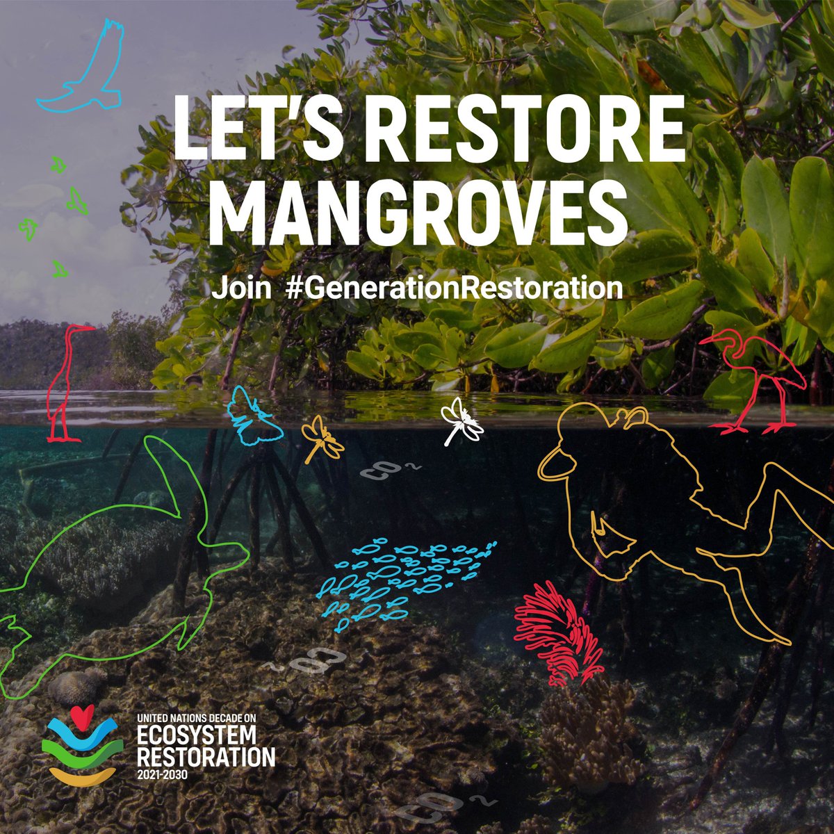 FAO Climate Change & Biodiversity (@faoclimate) on Twitter photo #DidYouKnow?
#Mangroves store 6.23 gigatonnes of carbon worldwide in their biomass and soils!
This <a href="/FAO/">Food and Agriculture Organization</a>-led <a href="/theGCF/">Green Climate Fund</a> project in #TheGambia will restore 2,000 ha of degraded mangroves in fisheries hotspots.
Learn more👇
ow.ly/E9mP50SqLlF
<a href="/UNEP/">UN Environment Programme</a> #GenerationRestoration #DidYouKnow?
#Mangroves store 6.23 gigatonnes of carbon worldwide in their biomass and soils!
This <a href="/FAO/">Food and Agriculture Organization</a>-led <a href="/theGCF/">Green Climate Fund</a> project in #TheGambia will restore 2,000 ha of degraded mangroves in fisheries hotspots.
Learn more👇
ow.ly/E9mP50SqLlF
<a href="/UNEP/">UN Environment Programme</a> #GenerationRestoration