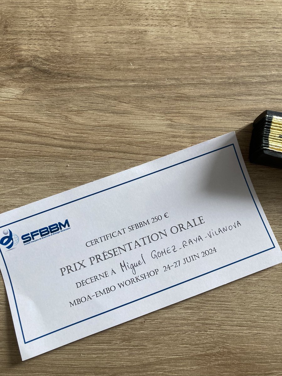 miguel_grv's tweet image. Really happy to have been given the opportunity to present some of my PhD work at the #EMBO workshop #MBoA that happened in @Polytechnique!
I feel honoured to come home with the best talk prize and lots of great ideas! 🙌🏻 
Archaea are so cool!!! 🤙🏻