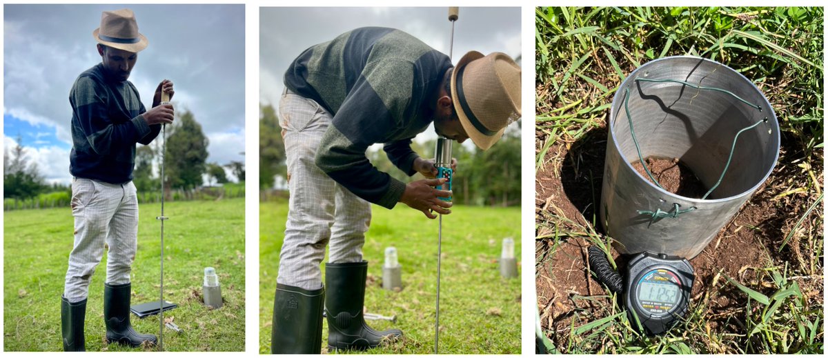 🌱Healthy soils = healthy pastures = well fed livestock! Check out our latest research on easy indicators for degraded tropical soils! <a href="/habtamu_wakshum/">Habtamu W. Sibilu</a> from <a href="/TU_Muenchen/">TU München</a> <a href="/ILRI/">ILRI.org</a> w/ <a href="/MarianaCRufino/">Mariana Rufino</a> <a href="/sonja_leitner/">Sonja Leitner</a> is finding simple methods communities can use mazingirailri.wordpress.com/2024/06/27/sea…