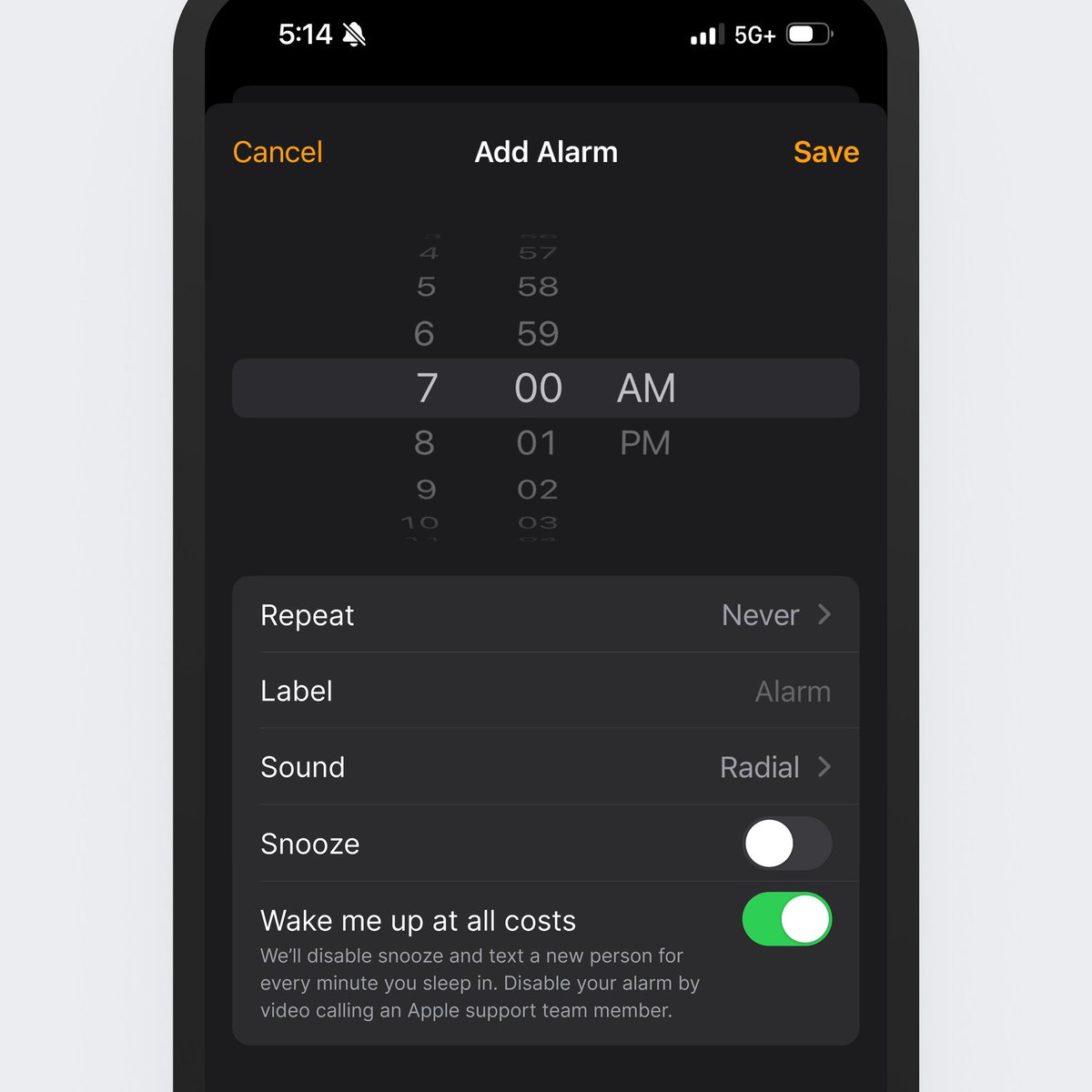 iOS option to set an alarm and "wake me up at all costs"