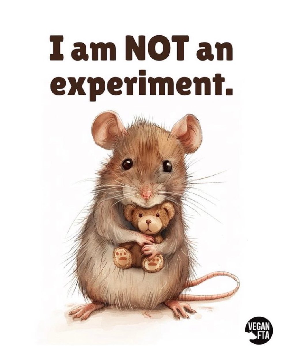francy_1970's tweet photo. 🫥 Molti prodotti che si usano vengono testati sugli animali, non solo i farmaci… cerca di comprare prodotti non testati, non serve torturare degli animali per la tua bellezza
#stopanimaltesting
#stopvivisezione
#vivisezione
#cosmetici
#cosmeticinaturali
#prodottinaturali https://t.co/MxiYiolsoj