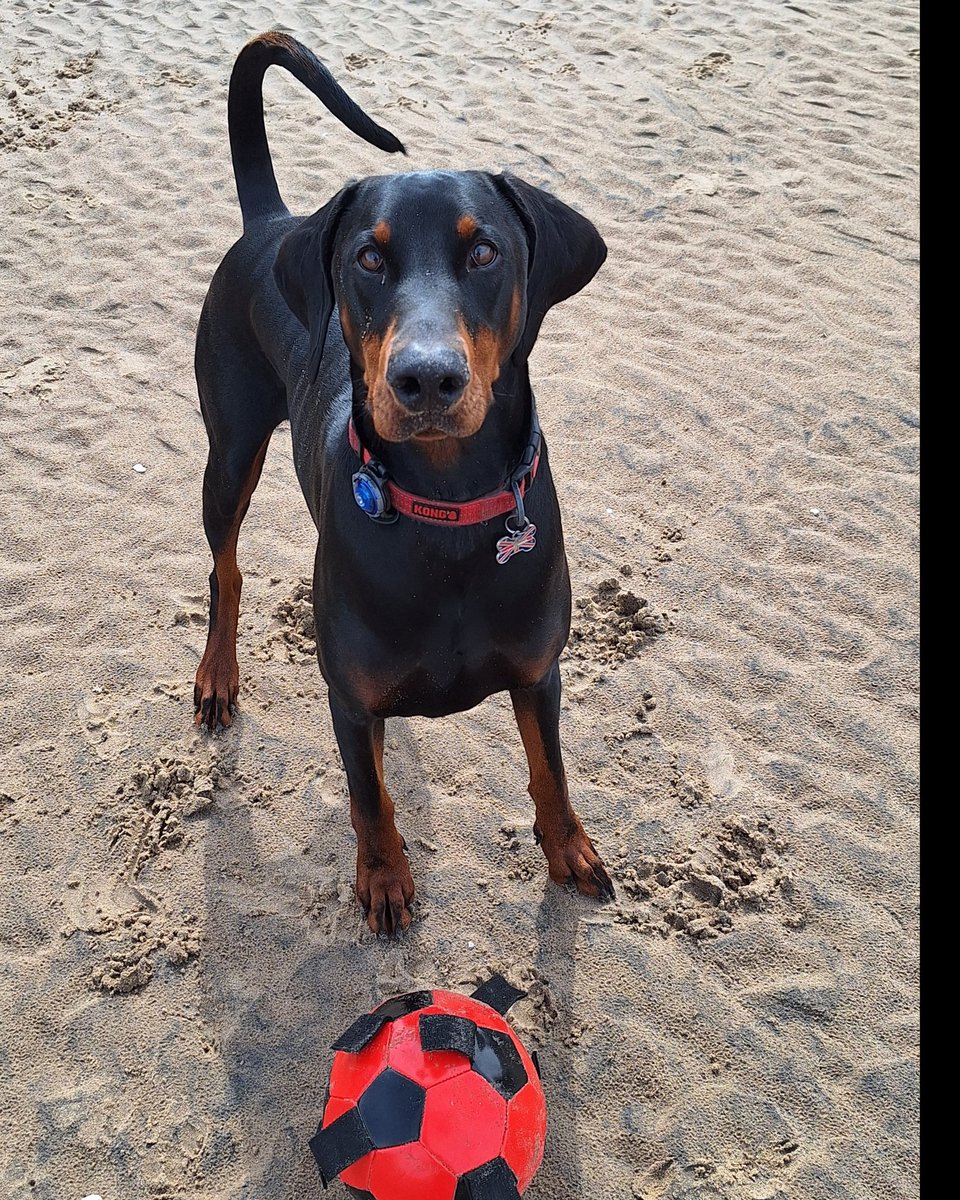 SunnyDeesBPL's tweet photo. Hotel owner issued CPW for non-existent dog fouling 💩💩🐾🐾

Who can we trust anymore!? 

https://t.co/kHxSRbA8mG

https://t.co/NaVCuMfmjf

@ukhomeoffice @10DowningStreet @itvnews @Channel4News @BBCLancashire @BBCNews @LBC @LiveLancs @JeremyVineOn5 @ @LincsDobermann @LancsPCC https://t.co/sfPnMx9Jv7