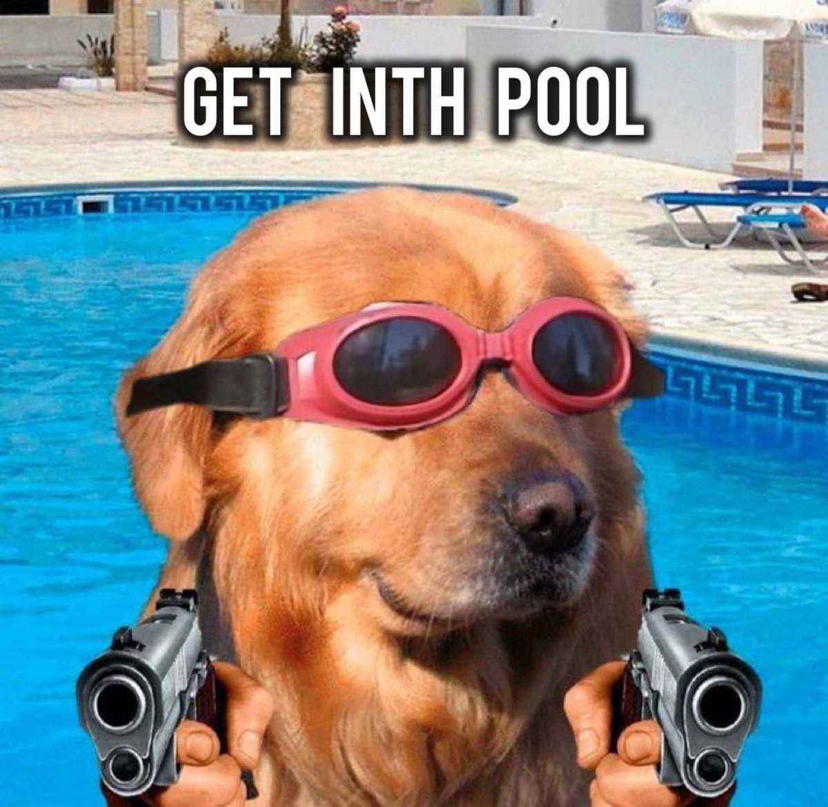 Whiteflame1280's tweet photo. @0xDipArmy @free_electron0 Solana summer inthpool $Dip https://t.co/H4kbl6rbAS