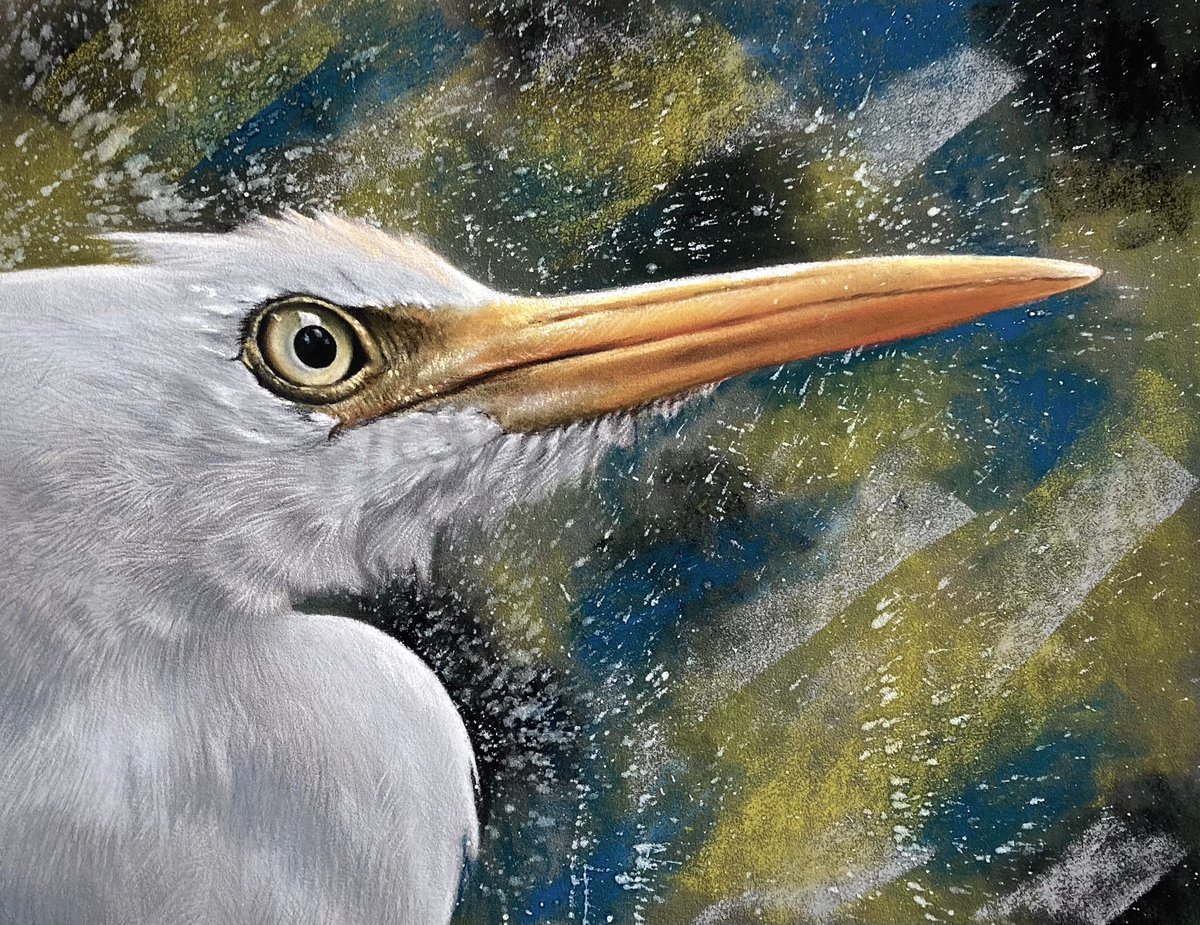 Paulmillerart's tweet photo. Finished the Egret. Went arty farty with it haha. Pastel pencil and soft pastel(dry and wet) on pastelmat. This piece is for sale DM if interested. Hope everyone's well 🙂
. #art #artist #drawing #painting #paintbrush #splatterpaint #realismsketch #sketches #sketchart #sketch https://t.co/FdSbFlltFk