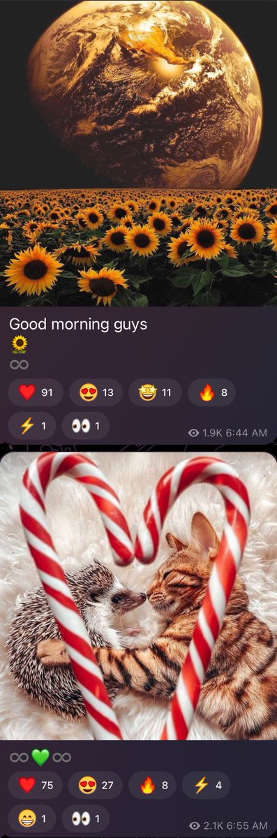 Shanneighteen's tweet image. #DoorCode 
#MovingDay
#BIKE
   2925=11.25=#JFKJR 🐣
#MyHero 
#IhavetheMOLE 
2.24.23
#Showtime 
#FeaturePresentation 
#CandyCane
#ChristConsciousness
#CC=33=June 21
#Itoldyaso