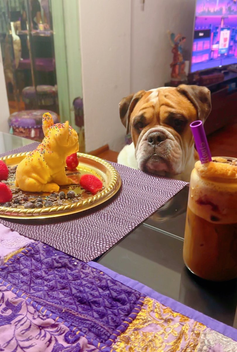 SoyFernandaV's tweet photo. #LomitoMañanero humana te dije que quería nesquik de fresa 🍓 🐶 https://t.co/pCLq0Mpnd9