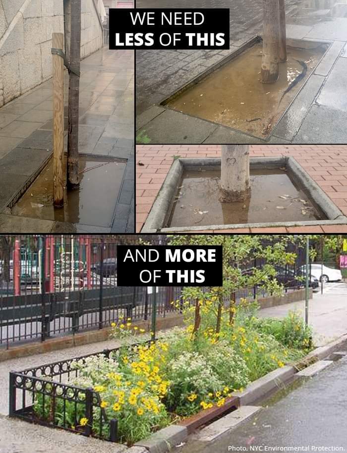 verdejomar's tweet image. Como en Barrio Sésamo 
#alcoques
#serviciosecosistémicos