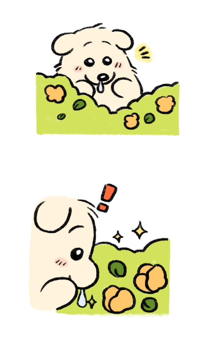 무디지 tweet media