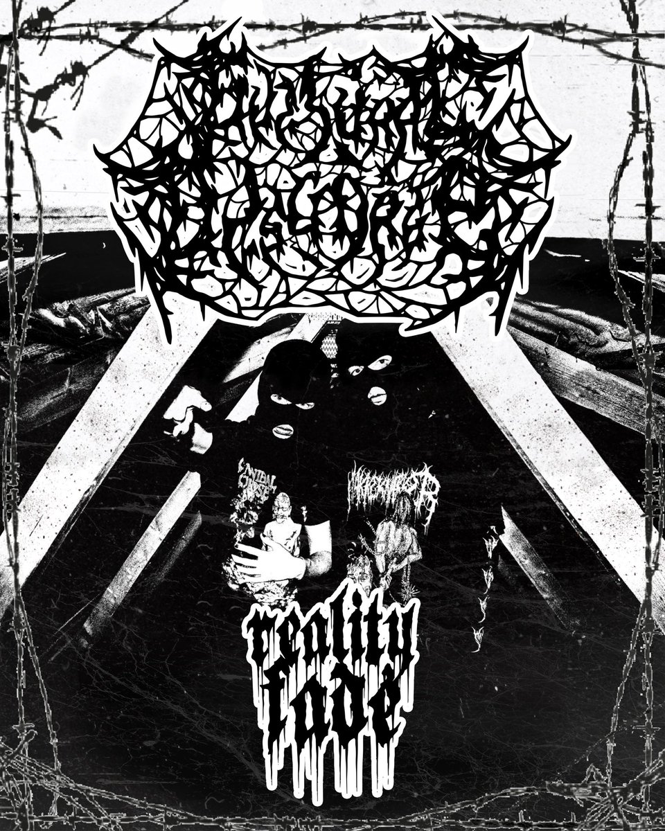 Reality Fade Merch tweet media