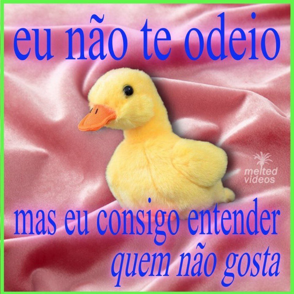 masturbe o cérebro e goze ideias (@diojodior) on Twitter photo 