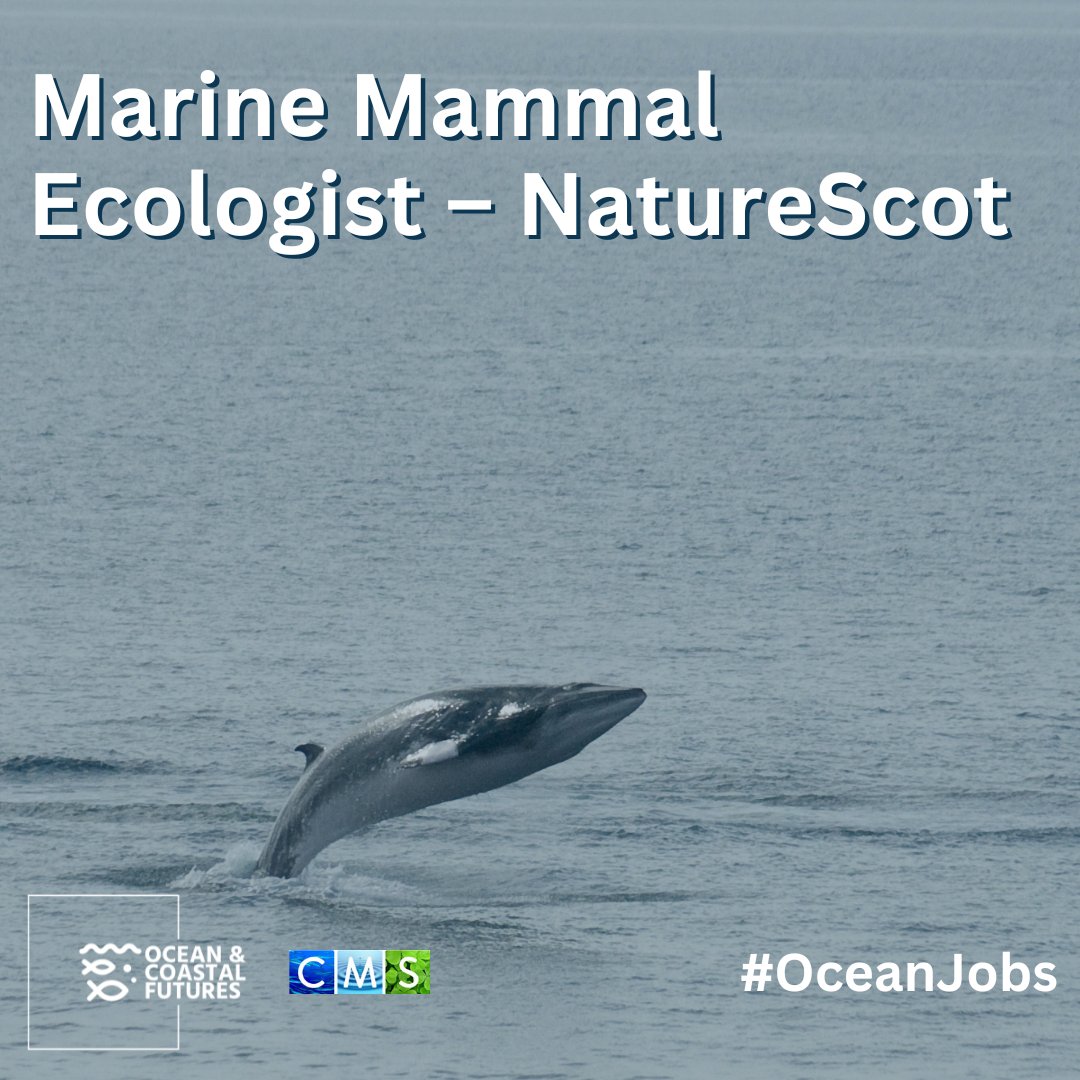 Ocean and Coastal Futures (OCF) (@cf_conf) on Twitter photo 🔔#job: Marine Mammal Ecologist – <a href="/NatureScot/">NatureScot</a>
▪️Salary: £38k
▪️Location: Scotland, flexible
▪️Closes: 19 July
▪️Full details here 👉cmscoms.com/?p=39852
Sign up for #OceanJobs alert emails here 👉 bit.ly/3MiyV7i
#hiring #vacancy #Marine 🔔#job: Marine Mammal Ecologist – <a href="/NatureScot/">NatureScot</a>
▪️Salary: £38k
▪️Location: Scotland, flexible
▪️Closes: 19 July
▪️Full details here 👉cmscoms.com/?p=39852
Sign up for #OceanJobs alert emails here 👉 bit.ly/3MiyV7i
#hiring #vacancy #Marine