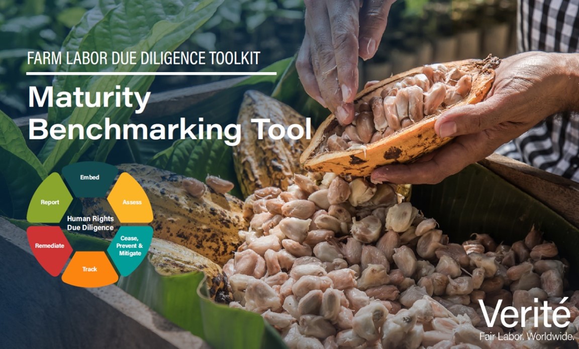 VeriteNews's tweet photo. Exciting News: We just released the Farm Labor Due Diligence Maturity Benchmarking Tool! Distilling decades’ worth of research, on-the-ground learnings, and HRDD best practices in bite-size benchmarks. FREE Download:  https://t.co/6SOEPsbf47 https://t.co/du34ouPSEn