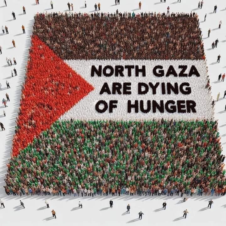 AyaShawky2000's tweet photo. #الشمال_يجوع
#شمال_غزة_يموت_جوعا
#Famine_in_North_Gaza https://t.co/XozoCvIi1s