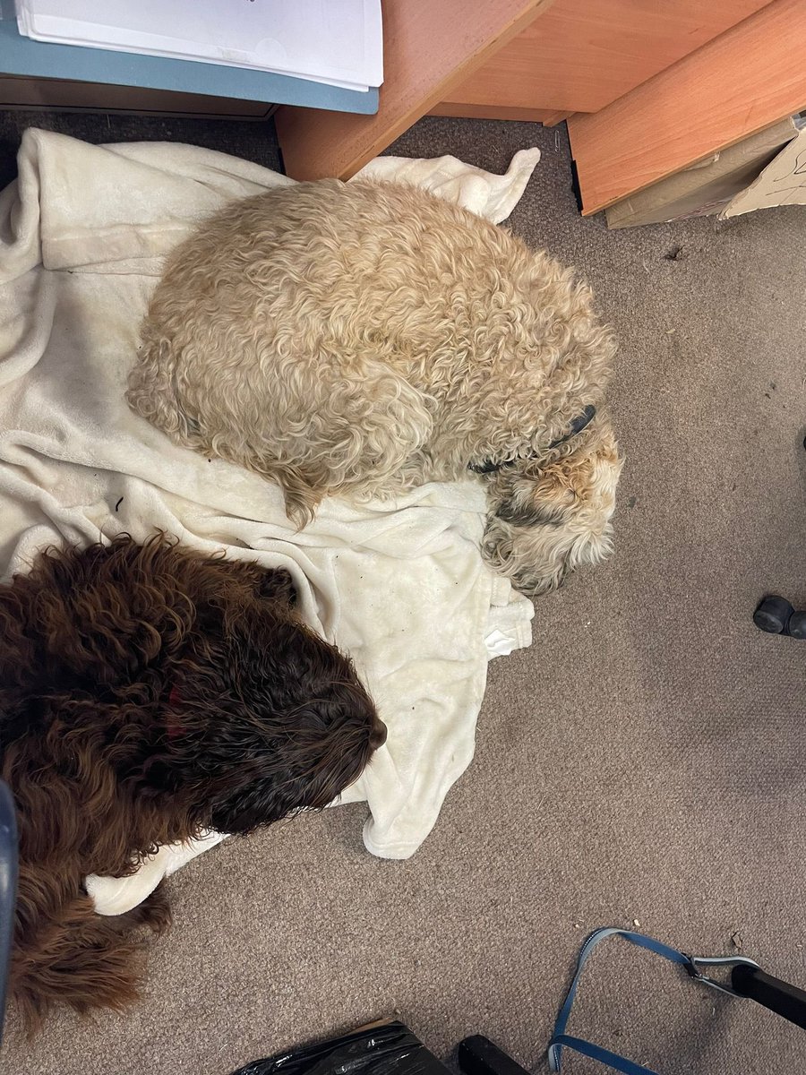 Bickerstaffe Boat Company tweet media