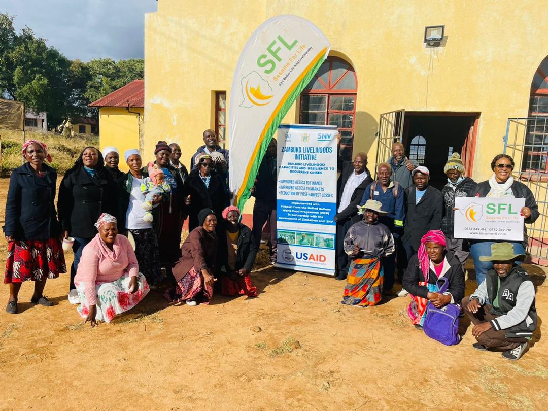 SNVZimbabwe's tweet photo. "Catalysing partnerships".  Sesame farmers in Masvingo district under the @UsaidZimbabwe  &amp; @WFP_Zimbabwe supported Zambuko project learned about export market requirements from @ZimTradeAlerts to prepare them for export through Sesame For Life. https://t.co/FBLODPUUY1