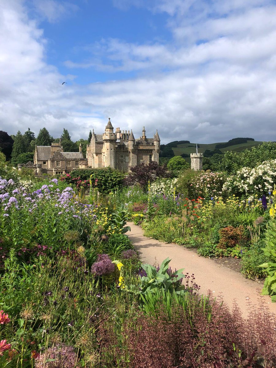 AbbotsfordScott's tweet photo. Abbotsford's gardens are in full bloom and looking incredible 😍🌿🌼 https://t.co/SY44z9VDgo