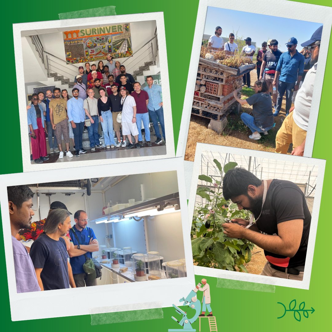 MScPlantHealth's tweet photo. 🌿🚎Annual field trip highlights! 📸🌞
Special shoutout to: #Symborg, #Corteva, #IFAPA, #Biobest, #CualinQuality, #Nunhems, #BASF, #CertisBelchim, #IMIDA, and #Surinver for your hospitality and for leading the way in sustainable agriculture! 🤝🌍 https://t.co/elw8wH5pXa