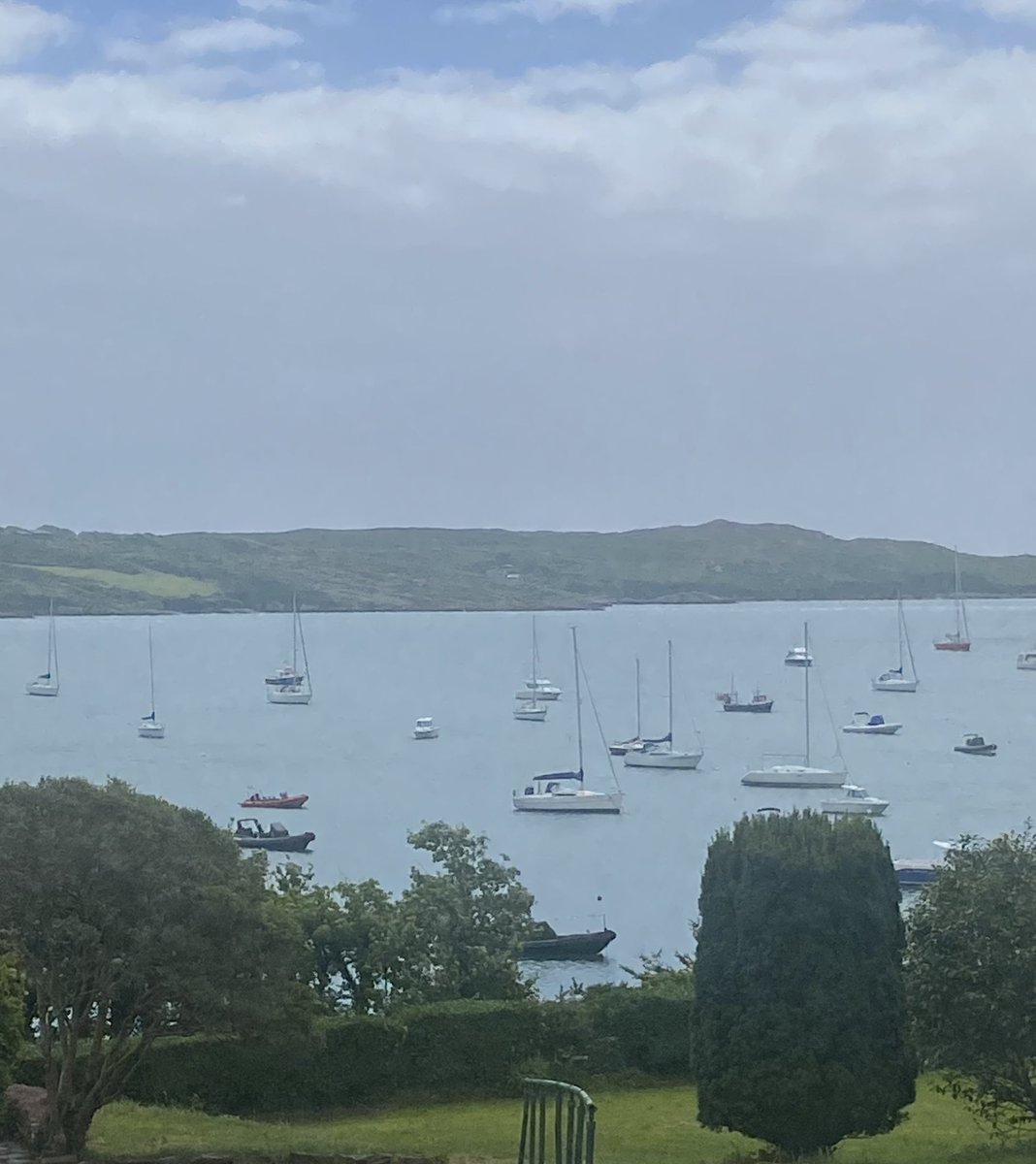 Diarmuid Murphy Kavanagh tweet media