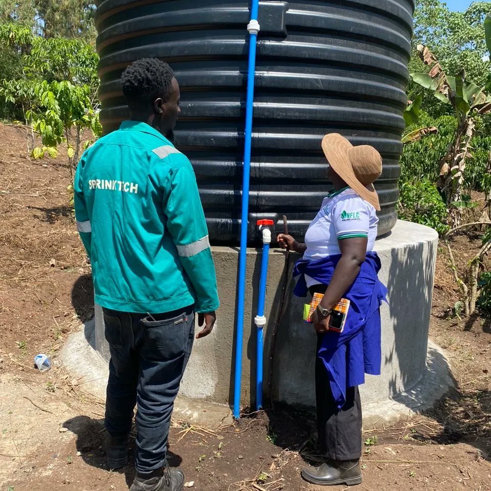 Sprinktech tweet media