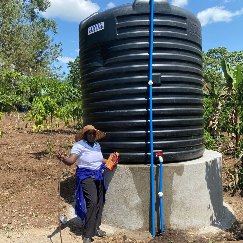 Sprinktech tweet media