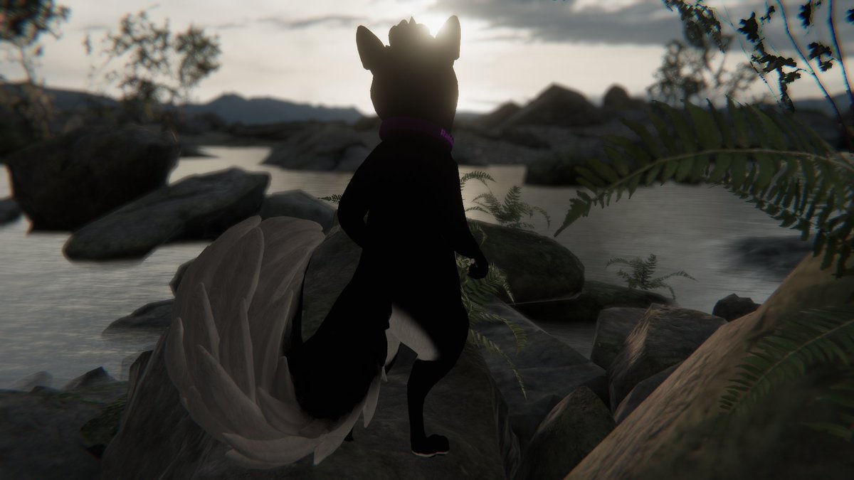 gx_raider's tweet photo. Vrchat photos taken with friends!
@foxo_blue @TwentyNik and @ Sumi 💙 https://t.co/dy9W5femYS