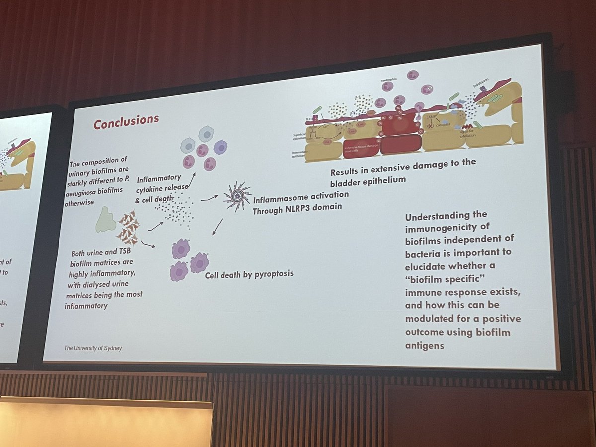 Dr Heema Kumari Nilesh Vyas (@hknvee) on Twitter photo Super proud of <a href="/Arthiii_M/">Arthika Manoharan</a> for her fantastic talk on the immunogenicity of the biofilm matrix in P. aer biofilms in the context of the urinary tract environment 🥹😌
Represented <a href="/Sydney_Uni/">University of Sydney</a> /Australia really well at #EuroBiofilms2024 👏🏽
Slay 💅🏽
<a href="/esgb_escmid/">ESGB</a> <a href="/ESCMID/">ESCMID</a> Super proud of <a href="/Arthiii_M/">Arthika Manoharan</a> for her fantastic talk on the immunogenicity of the biofilm matrix in P. aer biofilms in the context of the urinary tract environment 🥹😌
Represented <a href="/Sydney_Uni/">University of Sydney</a> /Australia really well at #EuroBiofilms2024 👏🏽
Slay 💅🏽
<a href="/esgb_escmid/">ESGB</a> <a href="/ESCMID/">ESCMID</a>