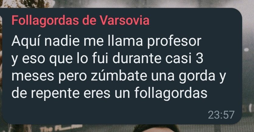 Haliaeetus albicilla𓆉𓆏𓅓 tweet media