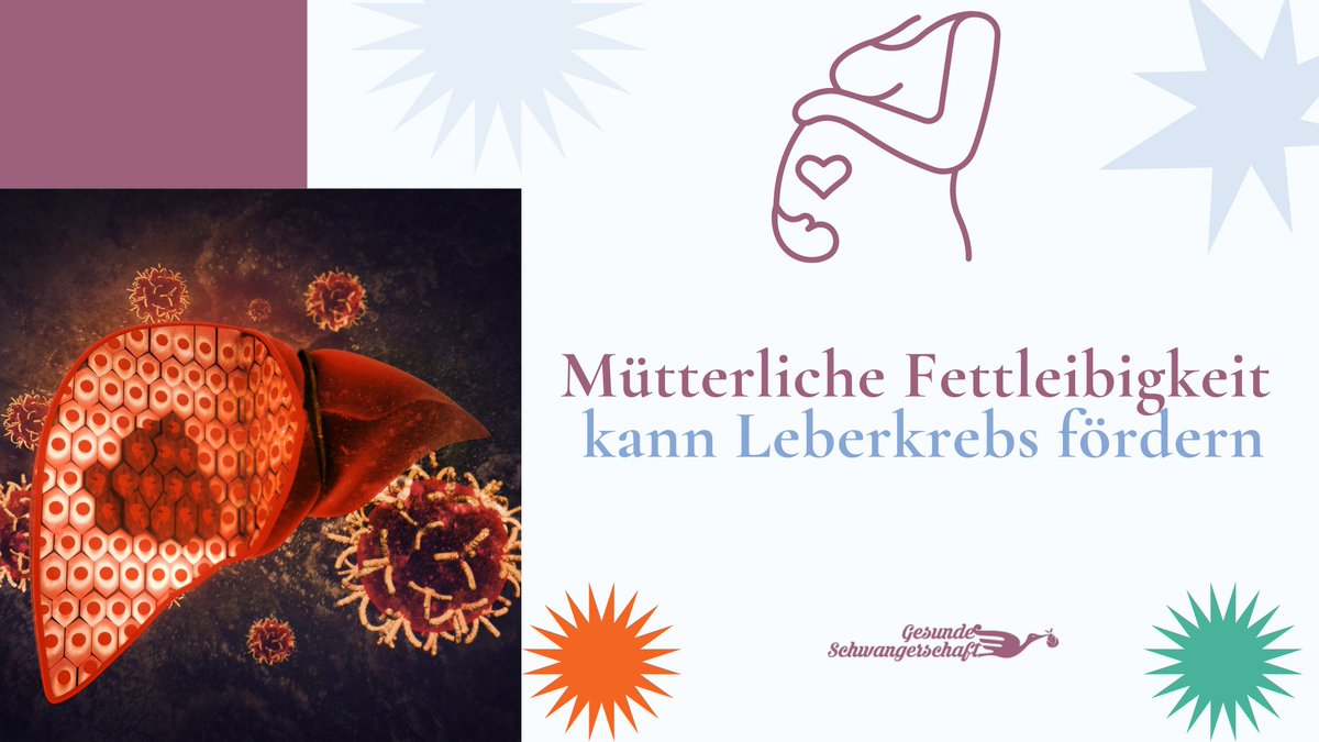 gesundschwanger's tweet image. Wissenschaftler haben die Auswirkungen der mütterlichen #Fettleibigkeit auf das Risiko, #Lebererkrankungen und #Leberkrebs zu entwickeln, untersucht.

Welche Rolle die Darmmikrobiota dabei spielt, erfahren Sie hier:

gesundeschwangerschaft.com/muetterliche-f…