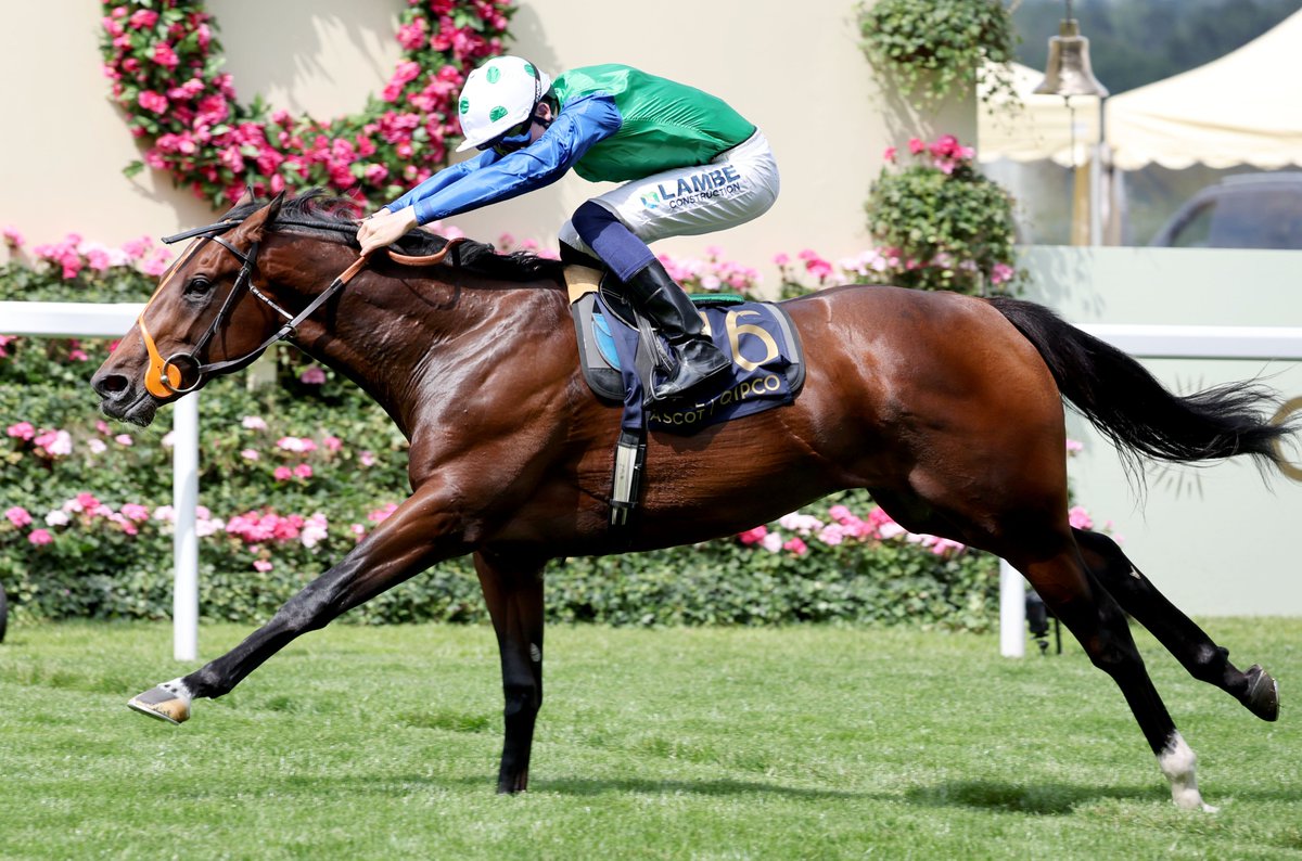 On Tuesday, two-year-old ratings were published for the first time this year ahead of the opening Nurseries of the season on Saturday 6 July

259 two-year-olds have been given a handicap mark and the full ratings can be viewed here 👇

britishhorseracing.com/regulation/off…