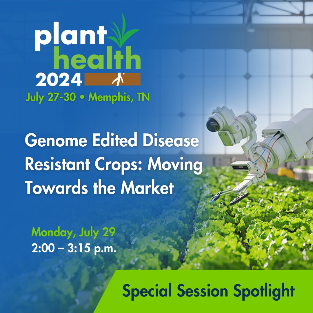 plantdisease's tweet image. Dive into the future of agriculture at #PlantHealth2024! Join our session on genome-edited disease-resistant crops on Monday, July 29. Learn about policy, cassava disease resistance, and market challenges. 

🔗 Explore this session!
bit.ly/45Pk52z

#GenomeEditing