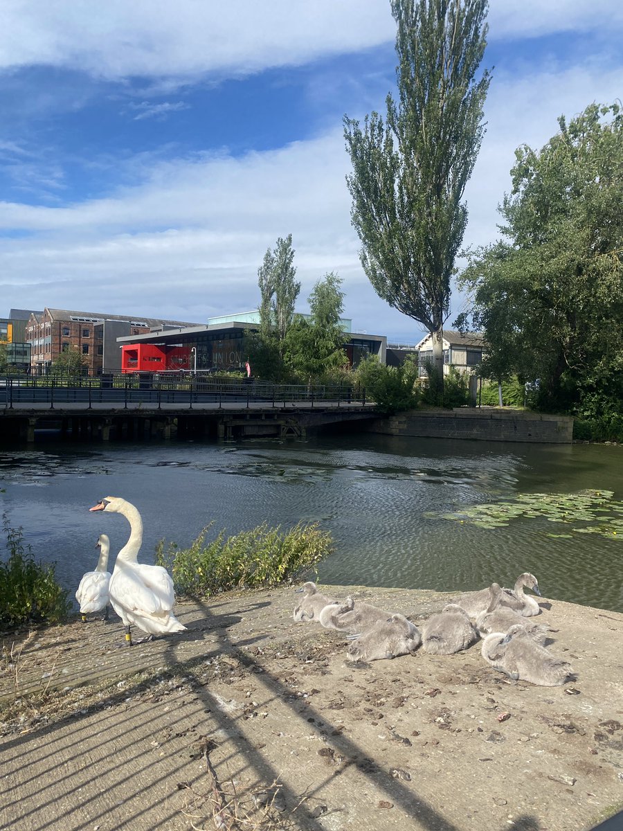 kathrynstampy's tweet photo. Reflecting on challenging but brilliant 2 days at #EssentialNotOptional conference organised by @DramaHE_UK @dance_he @NAFAE_news #MusicHE held at @LincsArtsCentre
Huge thanks to all involved in organising & presenting. Wonderful to catch up w/ colleagues & make new connections! https://t.co/ByxNPSwbip