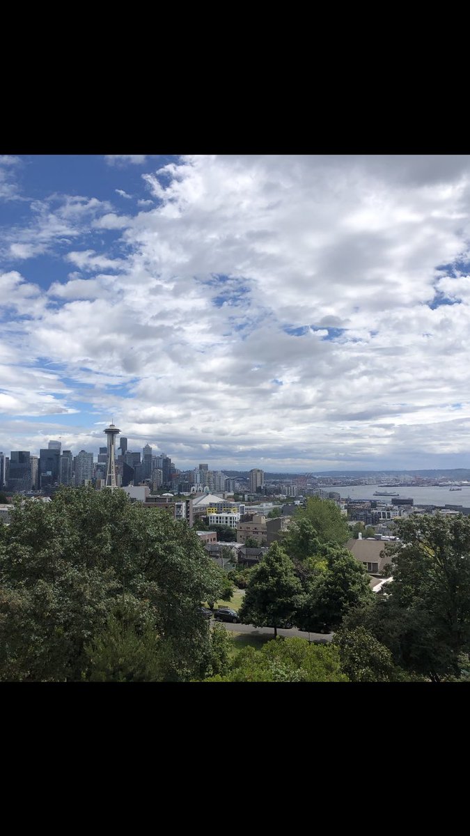 Saying goodbye to Seattle today after a wonderful 6 weeks in <a href="/AndyShih_Lab/">Andy Shih</a>. Thank you for having us and thanks to <a href="/stephkbeee/">Stephanie Bonney</a>  for taking me under her wing in the lab. So much great science, sooo many beautiful images taken and a lot of fun ✨ Until next time! ✨
