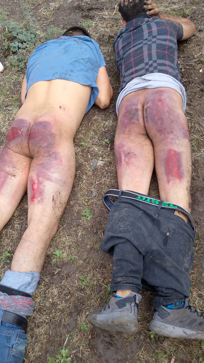 Mexicanadas 🇲🇽 tweet media