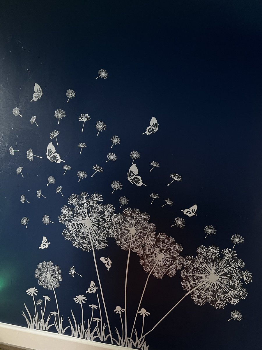 Today’s task was to decorate our sensory room on <a href="/Churchillward21/">Churchillward</a>🖌️ Excited to see this room when it’s all complete, it’ll be the perfect space for our gents😁✨🎨