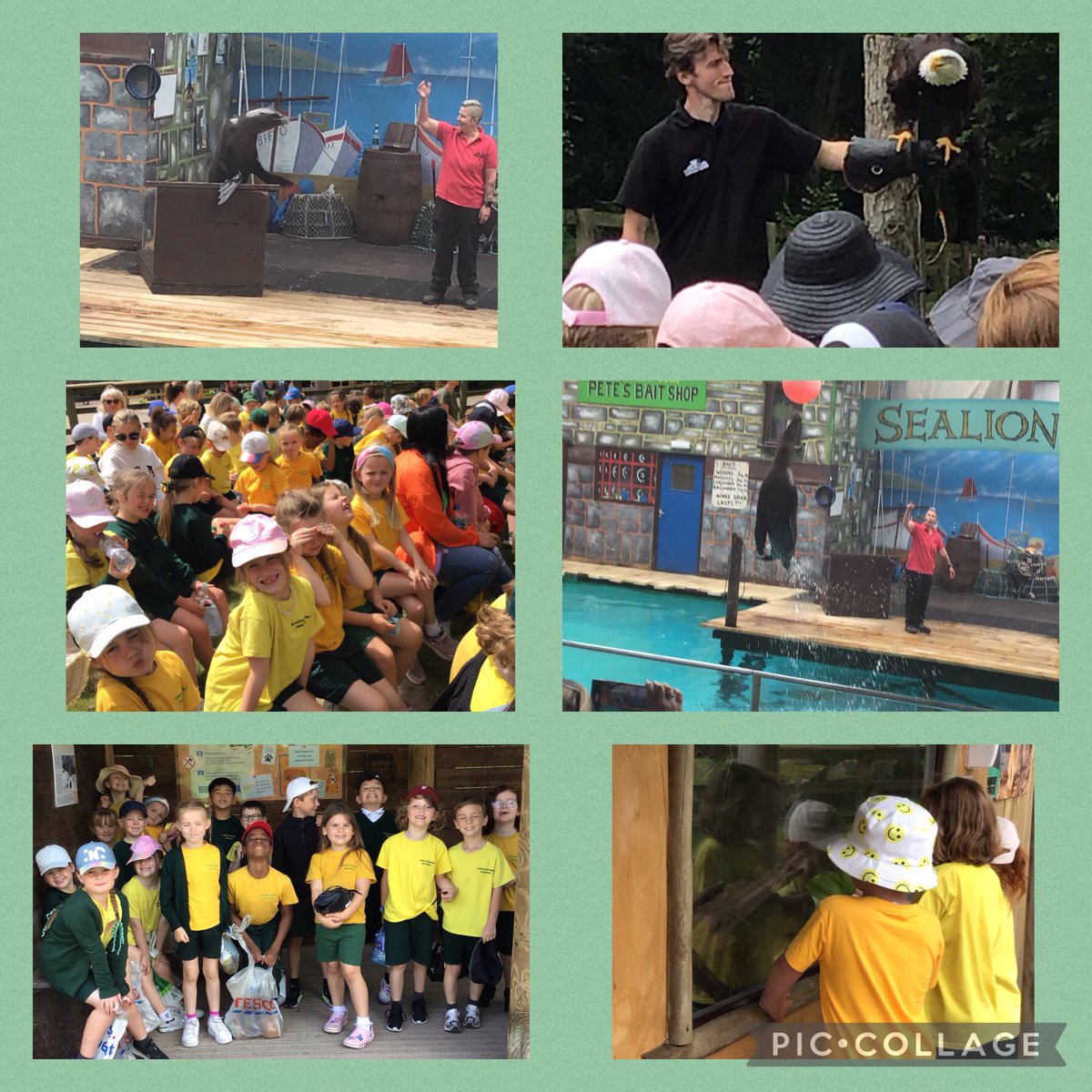 SPSTLiverpool (@spstliverpool) on Twitter photo 