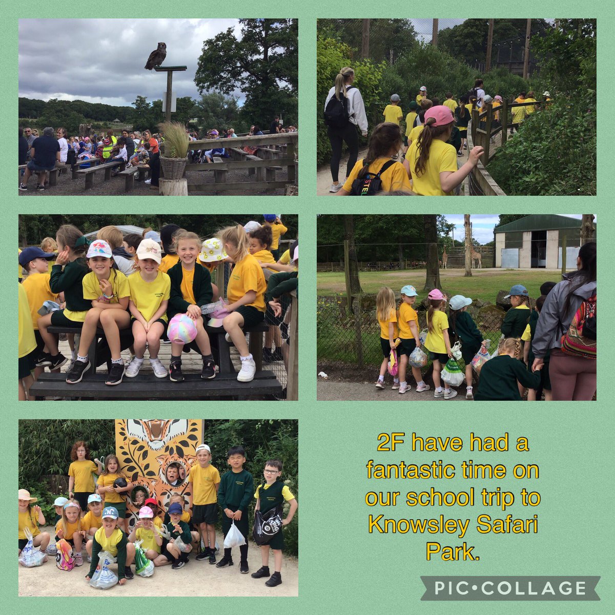 SPSTLiverpool tweet media