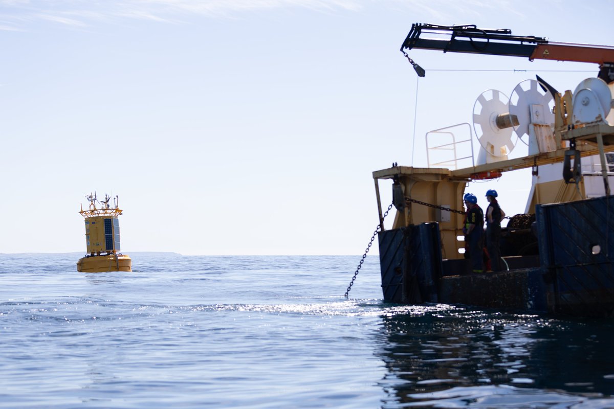 Plymouth Marine Lab tweet media