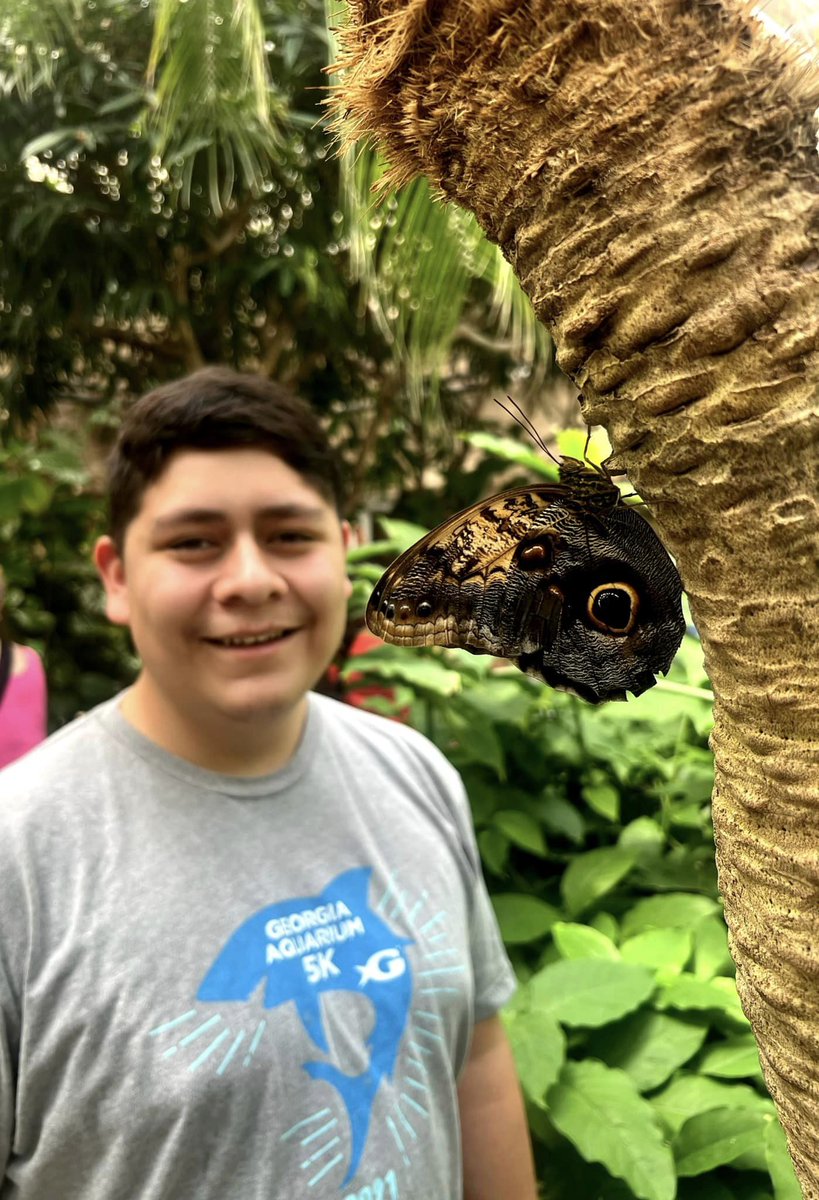 Outdoor Mindset tweet media